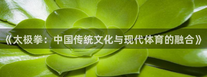 《太极拳：中国传统文化与现代体育的融合》