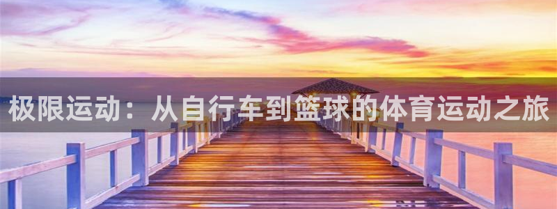 极限运动：从自行车到篮球的体育运动之旅