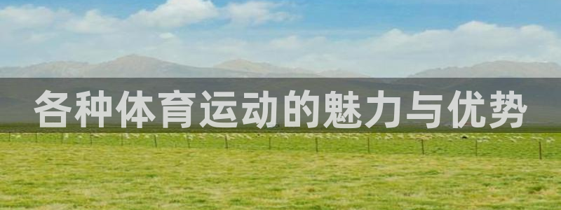 各种体育运动的魅力与优势