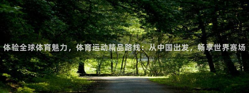体验全球体育魅力，体育运动精品路线：从中国出发，畅享世界赛场